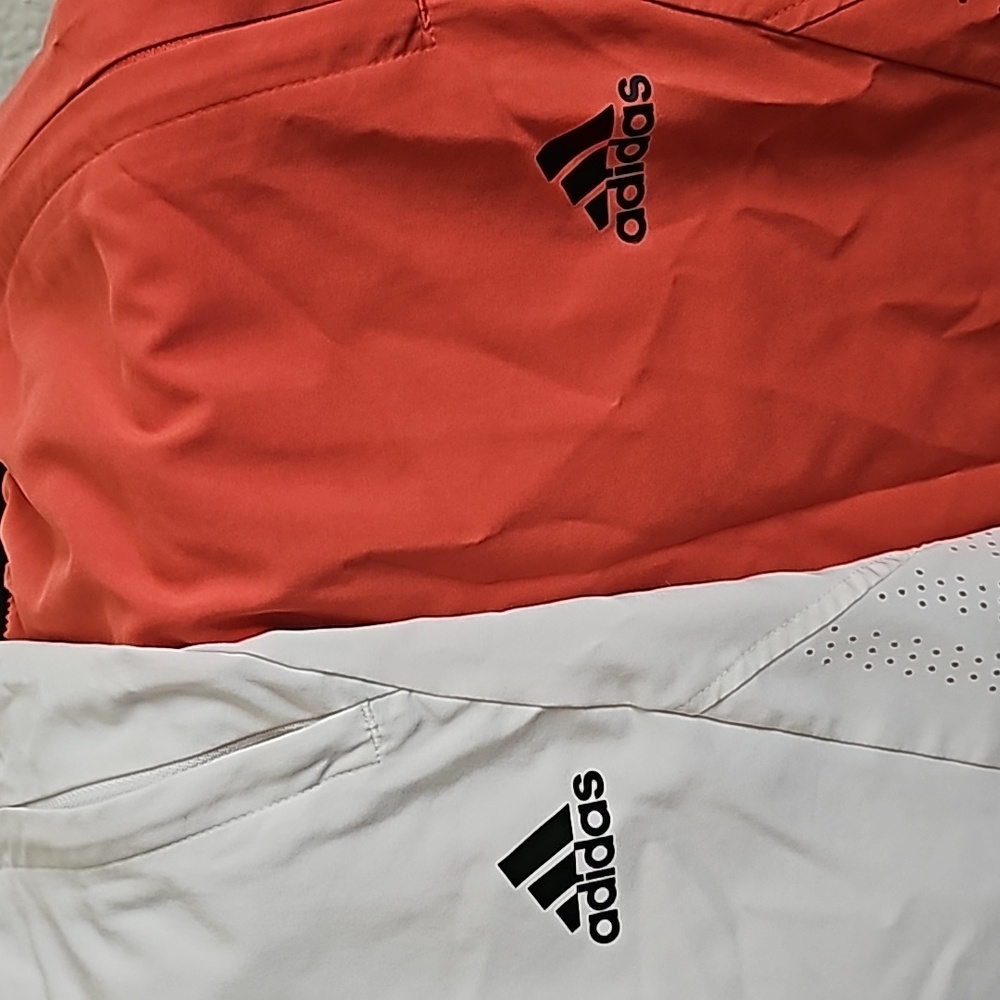 Shorts - Picture 2 of 4